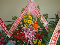 52-dsc08491