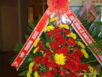 55-dsc08494