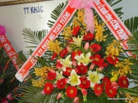 56-dsc08495