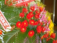 58-dsc08497