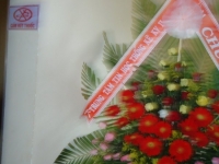 60-dsc08499